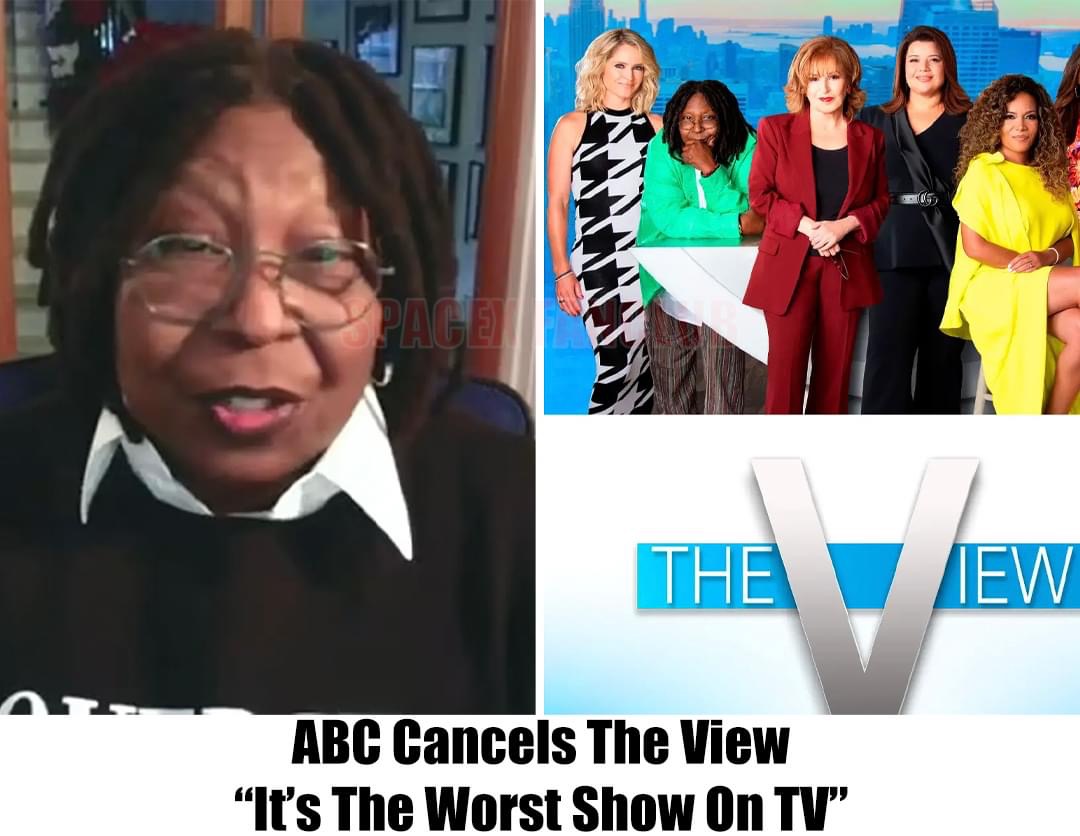 Breaking: The View Just Got Cancelled